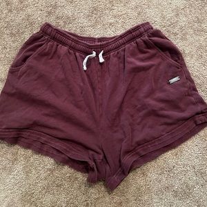 Gym shark shorts